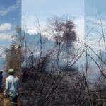 Kebakaran Lahan di Desa Hutaginjag, Kecamatan Muara