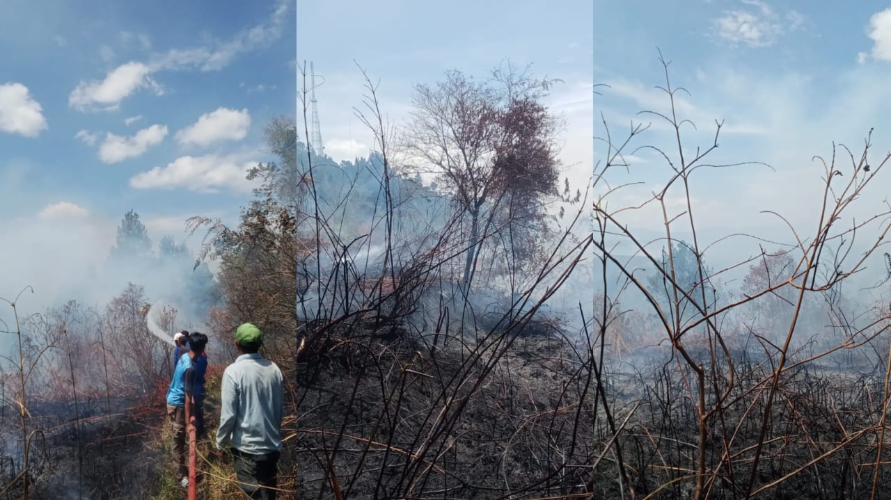 kebakaran lahan di hutaginjang